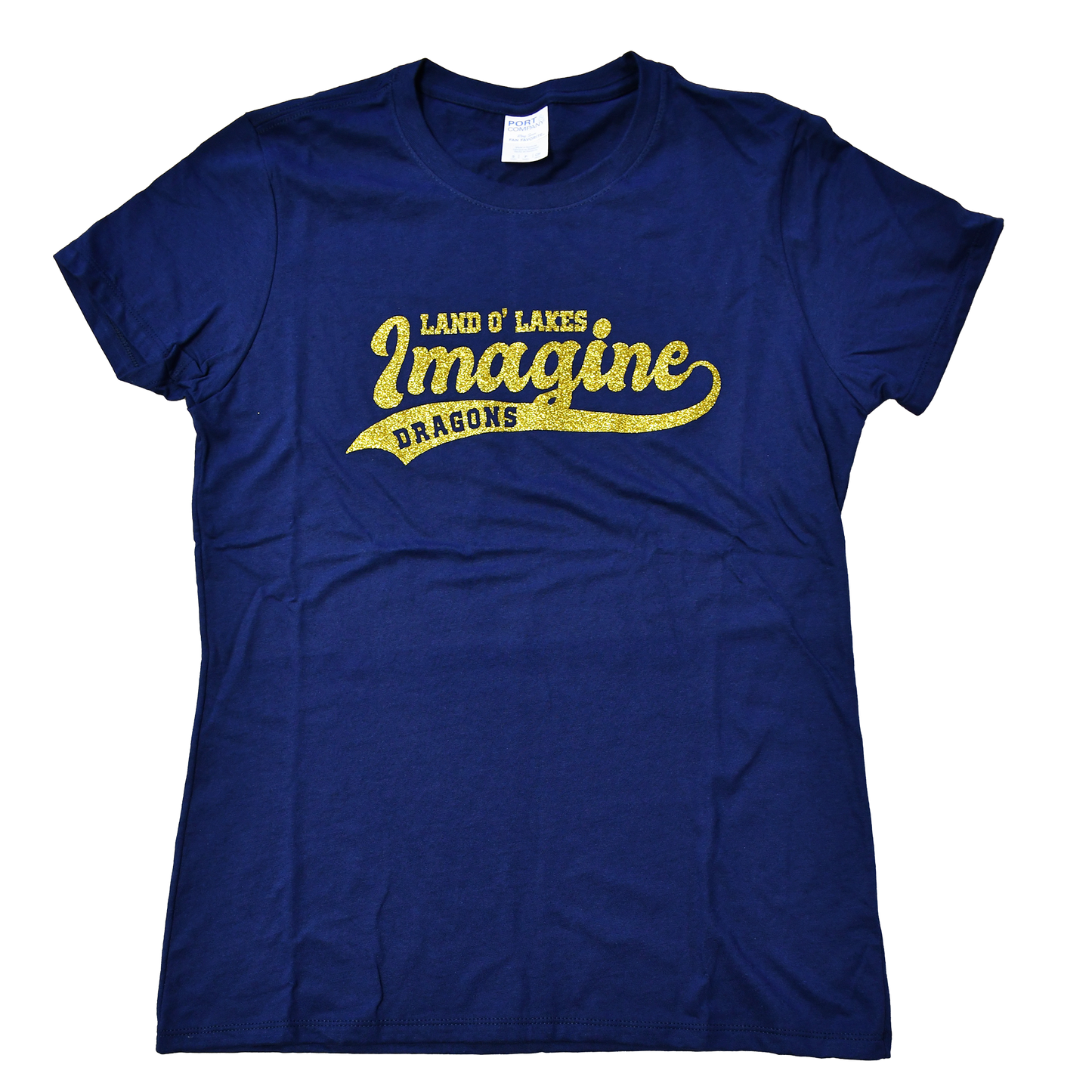 Imagine School Land O' Lakes Parent Ladies Spirit V-Neck Tee Glitter