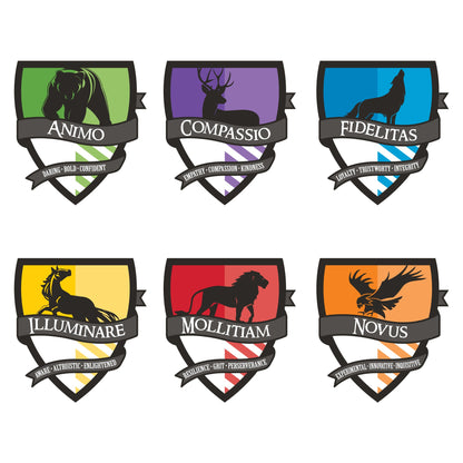 LP Team Shirts/House Shirts (Middle School Only!!!) - SPECIAL ORDER!