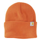 Carhartt Watch Cap 2.0